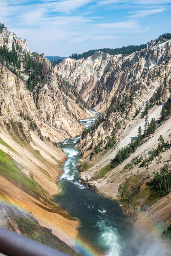 Aerial view of the Grand Canyon of the Yellowstone with the Yellowstone River flowing through deep rocky cliffs pine trees and a faint rainbow in the mist in Cody Wyoming United States. Aerial view of the Grand Canyon of the Yellowstone with the Yellowstone River flowing through deep rocky cliffs pine trees and a faint rainbow in the mist in Cody Wyoming United States.