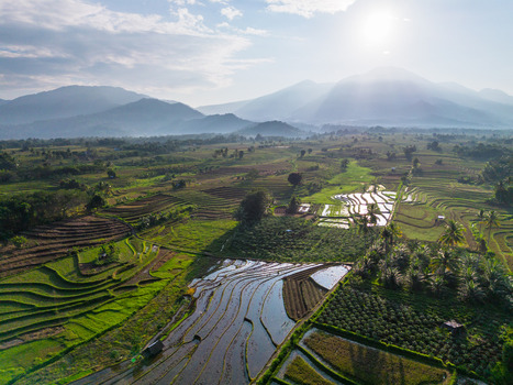 Aerial view of the lush Kemumu rice terraces with vibrant green paddies and reflective water surfaces set against a backdrop of rolling mountains in Arma Jaya Bengkulu Indonesia. Aerial view of the lush Kemumu rice terraces with vibrant green paddies and reflective water surfaces set against a backdrop of rolling mountains in Arma Jaya Bengkulu Indonesia.