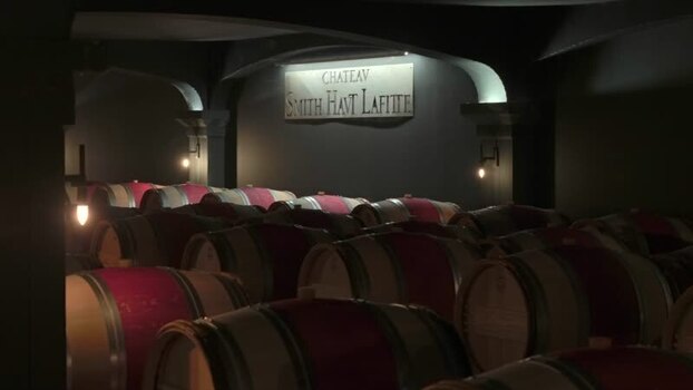View of wine barrels in a cellar France.