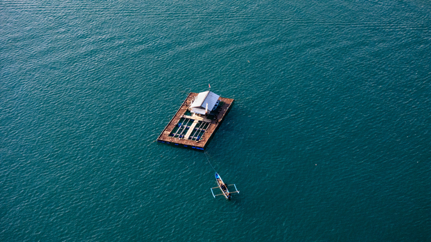 Aerial view of Pantai Karanggongso featuring a floating fish farm structure and a small wooden boat on the calm blue sea in Watulimo East Java Indonesia. Aerial view of Pantai Karanggongso featuring a floating fish farm structure and a small wooden boat on the calm blue sea in Watulimo East Java Indonesia.