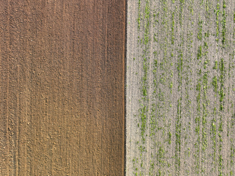 Aerial view of the contrast between plowed brown soil and a field with green sprouts in Borgo d Ale Piedmont Italy.
