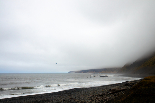 View of the rugged Lost Coast shoreline with crashing waves and fog covered hills in Humboldt County California United States.