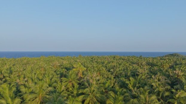Aerial view of island with many trees Maldives. Aerial view of island with many trees Maldives.