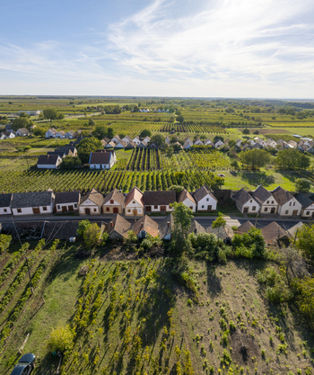 Aerial view of Hajos pincefalu featuring rows of traditional wine cellars surrounded by lush vineyards and green fields under a clear blue sky in Hajos Hungary. Aerial view of Hajos pincefalu featuring rows of traditional wine cellars surrounded by lush vineyards and green fields under a clear blue sky in Hajos Hungary.