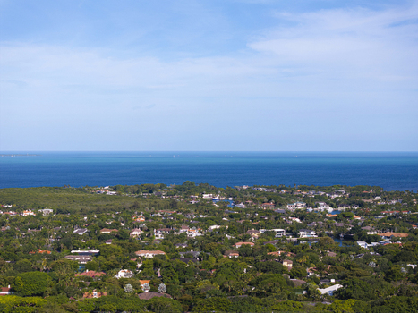Aerial view of the lush residential neighborhood with dense green canopy and luxury homes overlooking the blue waters of Biscayne Bay in Coral Gables Florida United States.