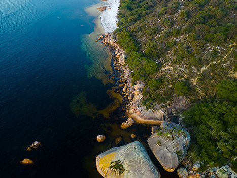 Aerial view of the rugged coastline featuring large granite boulders clear turquoise water and dense coastal vegetation in Frenchman Bay Western Australia Australia.