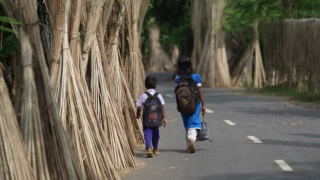 View of children walking past jute stalks in Bogura Bangladesh.