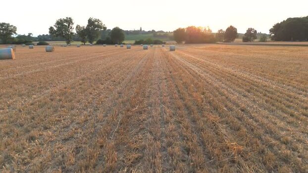 Aerial view of hay bales in a harvested field at sunset Switzerland.