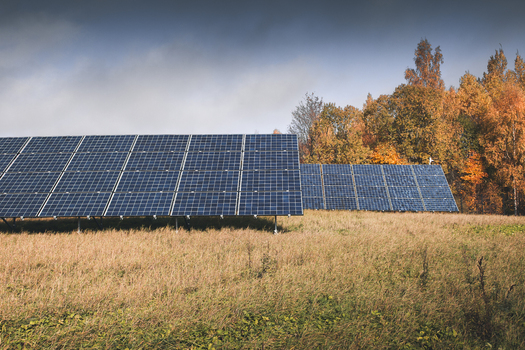 View of solar panels installed in a grassy field with autumn trees in the background under a cloudy sky in Otepaa Valga County Estonia. View of solar panels installed in a grassy field with autumn trees in the background under a cloudy sky in Otepaa Valga County Estonia.