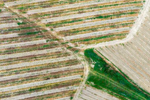 Aerial view of geometric patterns of agricultural fields and dirt paths in the Valdarno valley Florence Tuscany Italy. Aerial view of geometric patterns of agricultural fields and dirt paths in the Valdarno valley Florence Tuscany Italy.