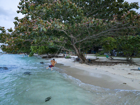 Aerial view of a person on a swing under a lush tree at Tanjung Gelam Beach where the turquoise water meets the sandy shore Karimunjawa Central Java Indonesia. Aerial view of a person on a swing under a lush tree at Tanjung Gelam Beach where the turquoise water meets the sandy shore Karimunjawa Central Java Indonesia.