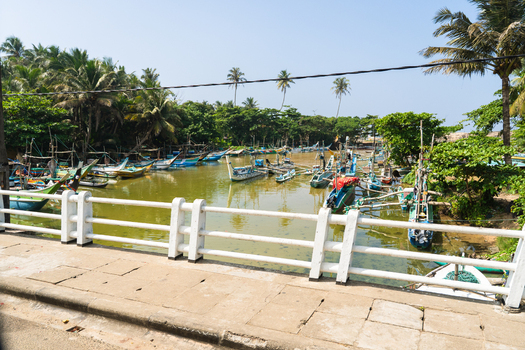 View of traditional colorful fishing boats moored in a tropical harbor with lush palm trees seen from a bridge Galle Southern Province Sri Lanka.