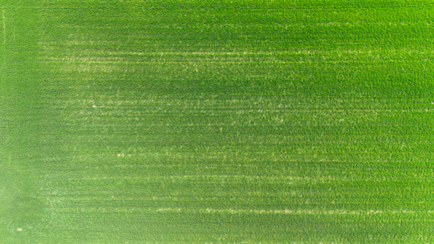 Aerial view of vibrant green fields stretching to the horizon creating a textured tapestry of nature s artistry Sremska Mitrovica Vojvodina Serbia. Aerial view of vibrant green fields stretching to the horizon creating a textured tapestry of nature s artistry Sremska Mitrovica Vojvodina Serbia.