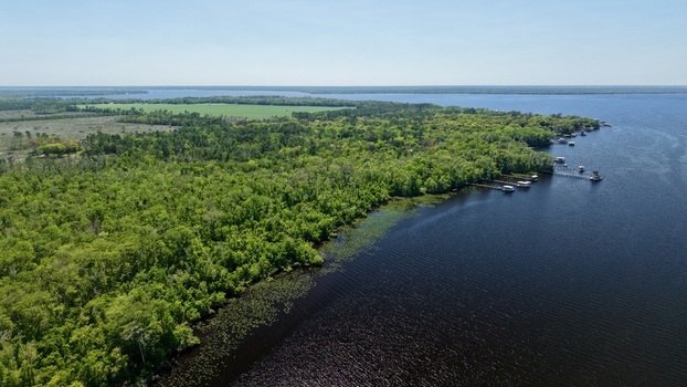 Aerial view of Sixmile Creek featuring lush green forests wooden docks along the shoreline and calm blue water under a clear sky St. Johns County Florida United States.