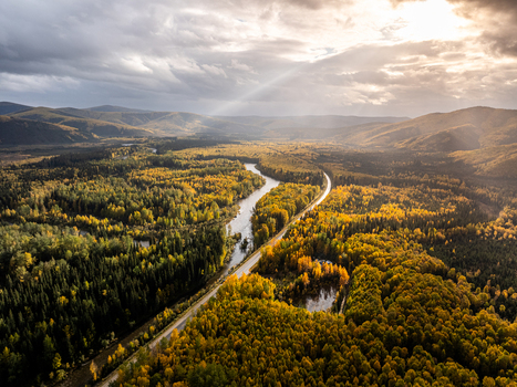 Aerial view of the Chena River winding through a dense forest with vibrant autumn foliage under a dramatic sky with sunbeams in Chena Alaska United States. Aerial view of the Chena River winding through a dense forest with vibrant autumn foliage under a dramatic sky with sunbeams in Chena Alaska United States.