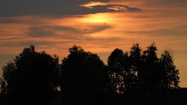 View of sunset over silhouetted trees in Bogura Bangladesh. View of sunset over silhouetted trees in Bogura Bangladesh.