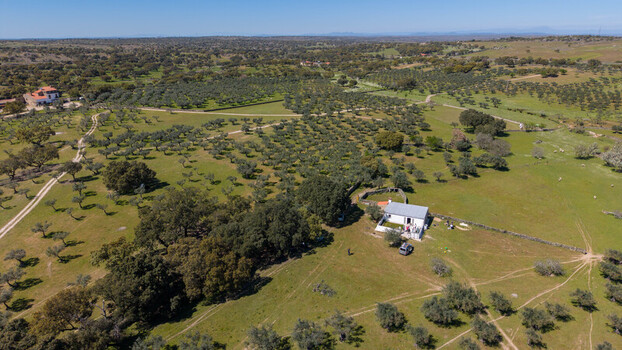 Aerial view of sun drenched olive groves and verdant pastures meet rustic farmhouses under a vast sky Navas del Madrono Extremadura Spain.