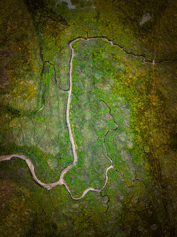 Aerial view of the Havre de Geffosses featuring winding tidal channels cutting through lush green marshlands and coastal vegetation in Geffosses Normandy France.