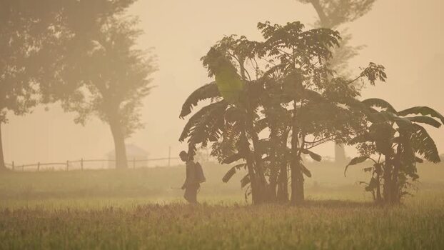 View of a farmer walking through a misty field Bangladesh.