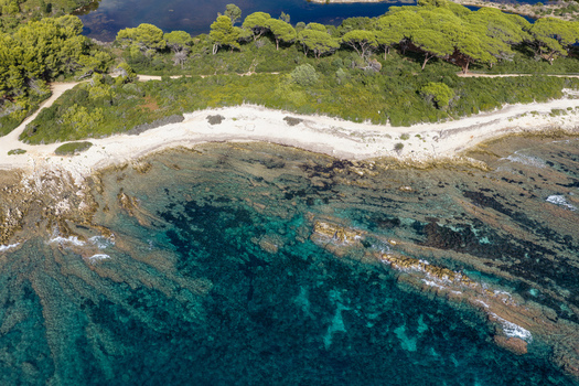 Aerial view of the coastline of Ile Sainte Marguerite featuring clear turquoise waters rocky shores and lush pine forests in Cannes Provence Alpes Cote d Azur France. Aerial view of the coastline of Ile Sainte Marguerite featuring clear turquoise waters rocky shores and lush pine forests in Cannes Provence Alpes Cote d Azur France.