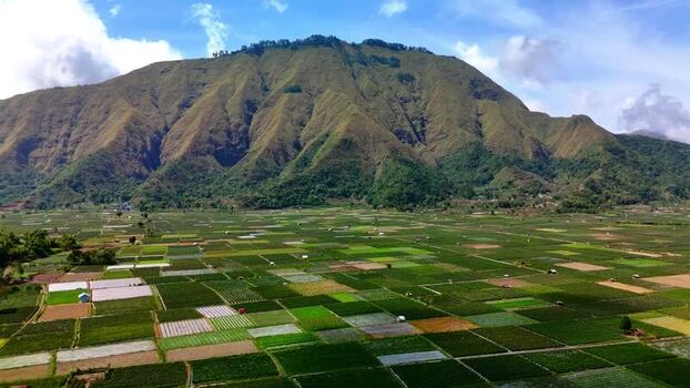 Aerial view of Bukit Selong and agricultural fields Indonesia.