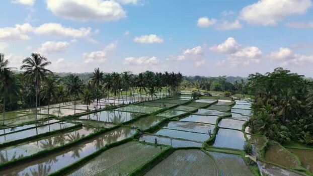 Aerial view of Banjar mancingan Rice trekking in Bali Indonesia. Aerial view of Banjar mancingan Rice trekking in Bali Indonesia.