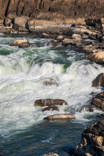 View of the churning white water cascading over jagged rocks the sunlight glinting off the spray creating a mesmerizing scene Great Falls Virginia United States. View of the churning white water cascading over jagged rocks the sunlight glinting off the spray creating a mesmerizing scene Great Falls Virginia United States.