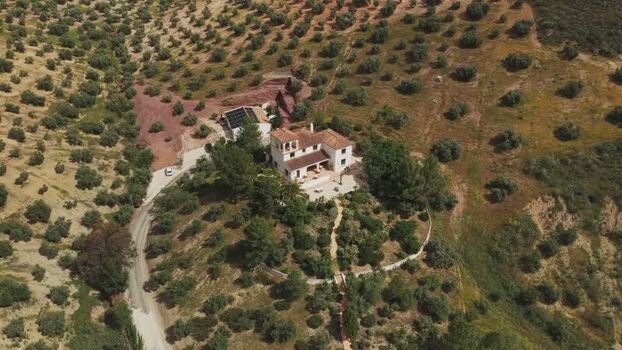 Aerial view of a country villa and olive groves in Spain.