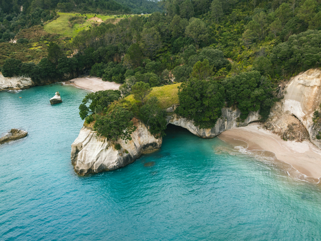 Aerial view of the sandy beach and the lush green forest meeting the turquoise sea creating a serene coastal landscape Waikato Waikato Region New Zealand. Aerial view of the sandy beach and the lush green forest meeting the turquoise sea creating a serene coastal landscape Waikato Waikato Region New Zealand.