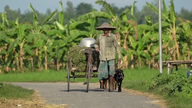 View of a farmer walking with a cart and a goat in Bogura Bangladesh.