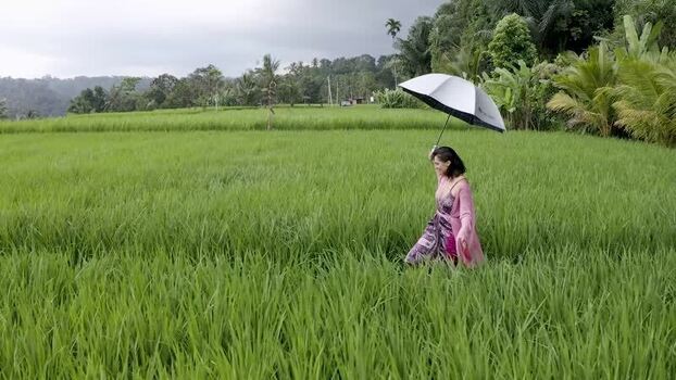 Aerial view of a woman with an umbrella in rice fields Indonesia.