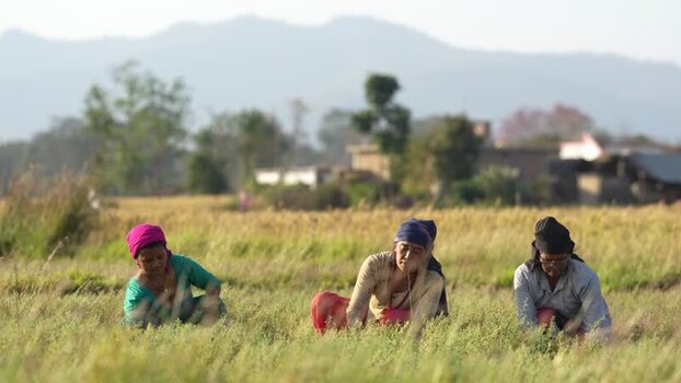 View of women working in a field in Dang Nepal.