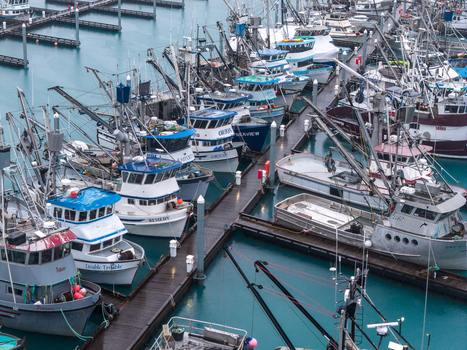 Aerial view of fishing boats docked at the Cordova Harbor and Port Department with wooden piers and turquoise water in Cordova Alaska United States. Aerial view of fishing boats docked at the Cordova Harbor and Port Department with wooden piers and turquoise water in Cordova Alaska United States.
