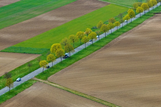 Aerial view of a road flanked by trees cuts through a patchwork of earthy brown and vibrant green fields Neuf Brisach Grand Est France.