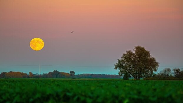 View of full moon over a field in Latvia.
