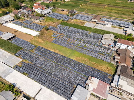 Aerial view of UKM Sohun production facility with rows of drying sohun noodles on trays in an open field near residential houses in Polanharjo Central Java Indonesia.