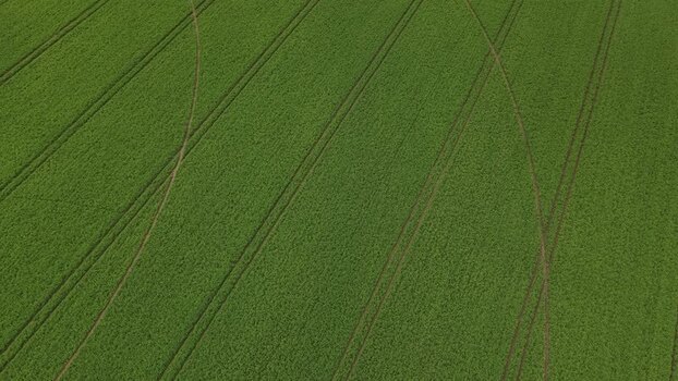 Aerial view of green agricultural field with tractor tracks Portugal.