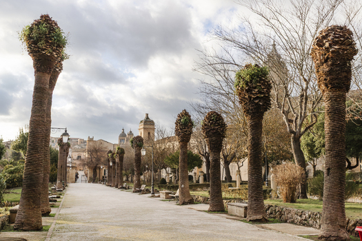 View of the Giardino Ibleo park featuring a path lined with trimmed palm trees and historic baroque church towers under a cloudy sky in Ragusa Sicily Italy.