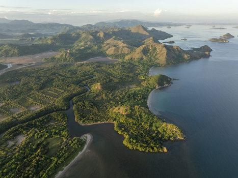 Aerial view of the lush green hills and winding river meeting the sea near Labuan Bajo in Komodo East Nusa Tenggara Indonesia. Aerial view of the lush green hills and winding river meeting the sea near Labuan Bajo in Komodo East Nusa Tenggara Indonesia.