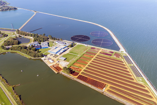 Aerial view of circular floating round sun tracking solar panels at a water treatment facility in Andijk North Holland the Netherlands Aerial view of circular floating round sun tracking solar panels at a water treatment facility in Andijk North Holland the Netherlands