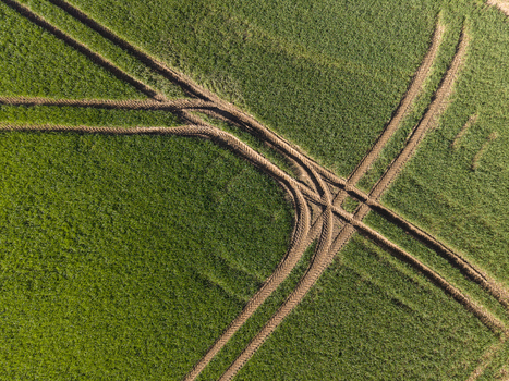 Aerial view of tractor tracks crossing through a vibrant green agricultural field with geometric patterns and textures Meikleour Scotland United Kingdom.