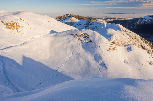 View of the snowy slopes of Ornak in the Western Tatras with visible hiking tracks in the fresh snow under a clear sky at golden hour in Tatra County Lesser Poland Voivode Poland. View of the snowy slopes of Ornak in the Western Tatras with visible hiking tracks in the fresh snow under a clear sky at golden hour in Tatra County Lesser Poland Voivode Poland.
