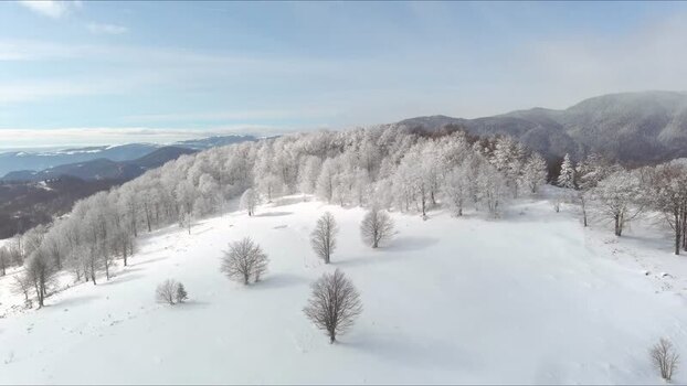 Aerial view of snow covered forest in Brasov Romania. Aerial view of snow covered forest in Brasov Romania.