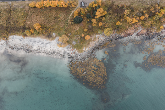 Aerial view of the Lofoten coastline in Svolvaer featuring rocky shores clear turquoise water and vibrant autumn foliage along the road Svolvaer Nordland Norway.