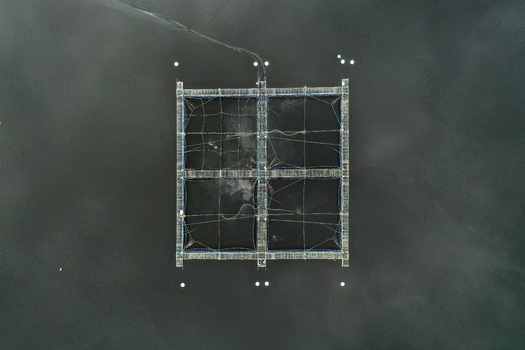 Aerial view of a square aquaculture fish farm cage floating in dark water in Glencoe Scotland United Kingdom.
