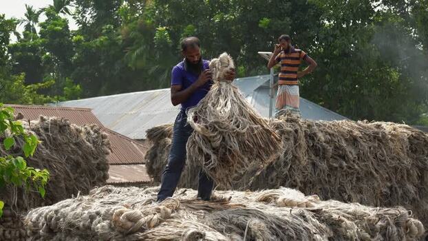 View of men processing raw jute fiber in Jamalpur Bangladesh.