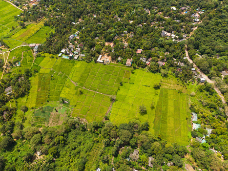 Aerial view of lush green rice paddies and dense tropical forest surrounding a small village in Sigiriya Central Province Sri Lanka. Aerial view of lush green rice paddies and dense tropical forest surrounding a small village in Sigiriya Central Province Sri Lanka.