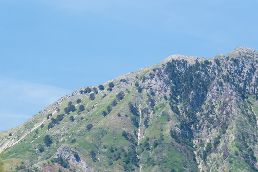 View of the rugged mountain peaks at Panorama Llogora with green slopes and scattered trees under a clear blue sky in Himare Qarku i Vlores Albania.