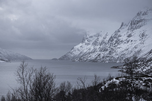 View of snow covered mountains rising above a calm fjord under a dramatic overcast sky with bare winter trees in the foreground Kvaloya Troms Norway. View of snow covered mountains rising above a calm fjord under a dramatic overcast sky with bare winter trees in the foreground Kvaloya Troms Norway.