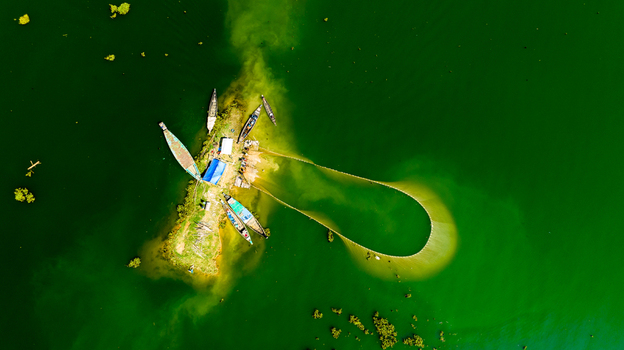 Aerial view of traditional wooden fishing boats and nets in the green waters of Kaptai Lake near Rangamati Chittagong Division Bangladesh.